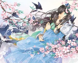 蘑菇tv官网